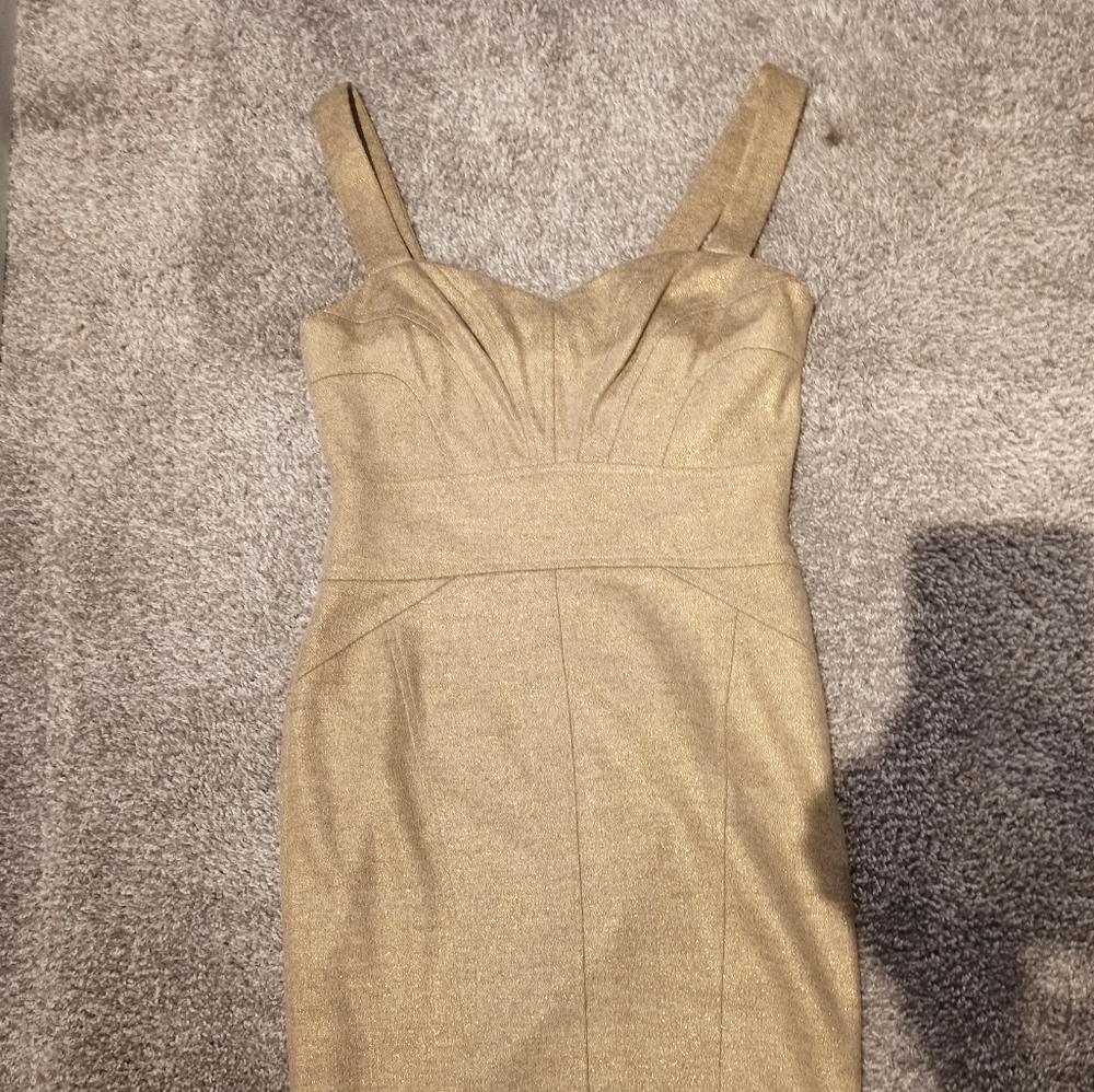 Diane Von Furstenberg shimmer beige gold dress